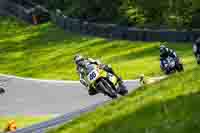 brands-hatch-photographs;brands-no-limits-trackday;cadwell-trackday-photographs;enduro-digital-images;event-digital-images;eventdigitalimages;no-limits-trackdays;peter-wileman-photography;racing-digital-images;trackday-digital-images;trackday-photos